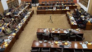 Danantara Bakal Kebut 22 Program Kerja dalam Waktu 5 Bulan