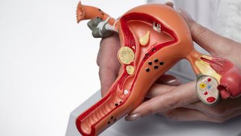 Crypto Bartholin Is It Hazardous? Check Out The Explanation And How To Treat It
