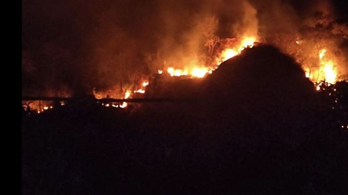 联合小组成功扑灭了Jayanti Sukabumi山的火灾