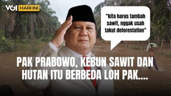 VOI Today: Pak Prabowo, Palm Oil Plantation Can't Replace Protected Forests.