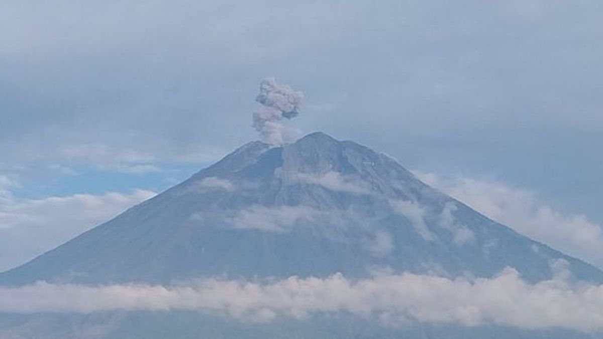 5 Times Erupt! Semeru Is Still Active This Morning