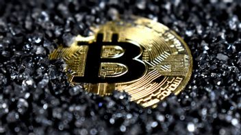 エルサルバドルビットコイン投資戦略:日常的な購入と潜在的な長期