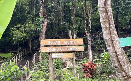 Ambon Kini Punya Hutan Musik, Jadi Pilihan Baru Warga Nikmati Harmoni Nada dan Alam