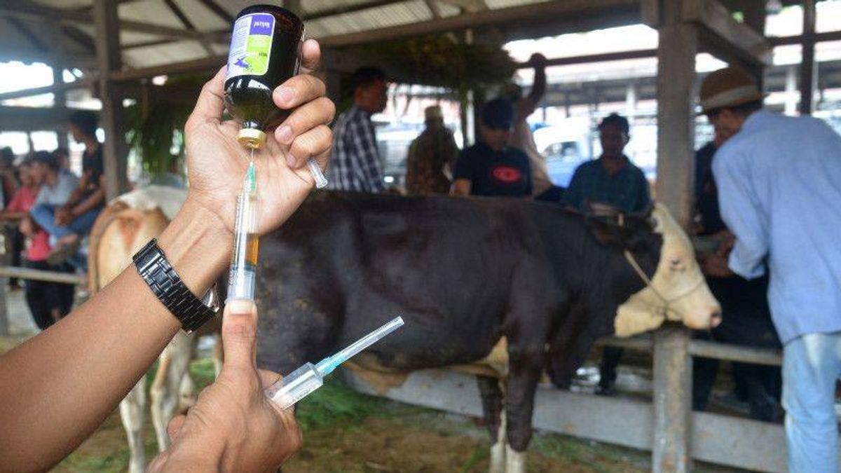 FMD Outbreak Impact In Indonesia Could Spread To Tourism Sector