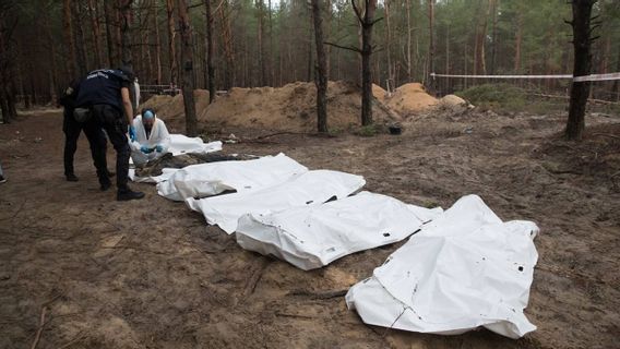 乌克兰当局已确定511名战争罪嫌疑人,其中81人被定罪