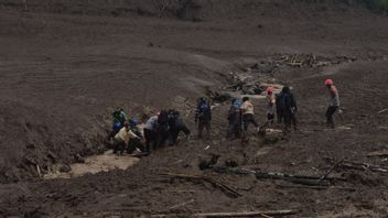 SAR Team Looking for Victims of Floods and Landslides in Cisarua, West Bandung