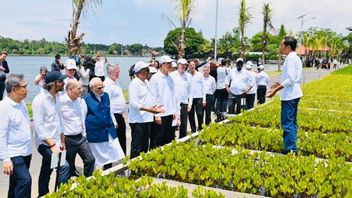 記念すべきG20バリサミット、Mahfud MDは、インドがマングローブ林再生プログラムの作成にインドネシアに加わると述べています