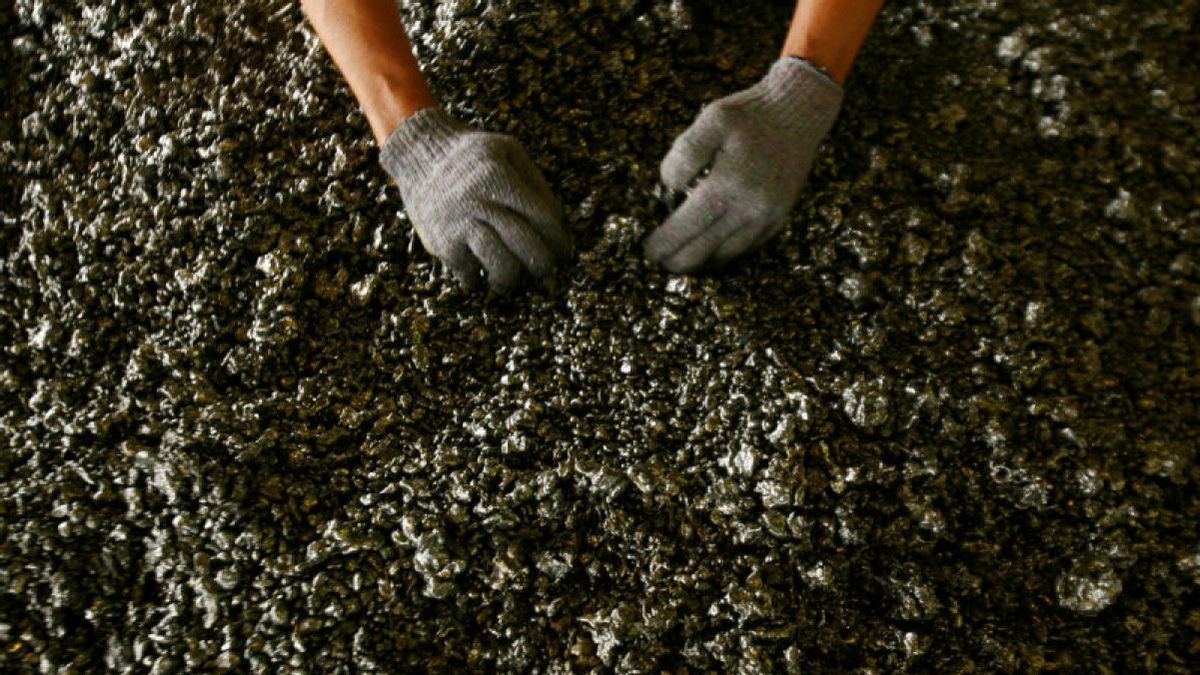 Add State Revenue, Bahlil Raises the Price of Nickel Reference Minerals