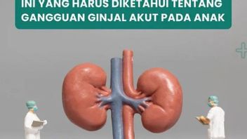 Kabar Baik! Pekan Depan 200 Vial Obat Atasi Gangguan Ginjal Akut Tiba di Indonesia, Langsung Distribusi ke RS