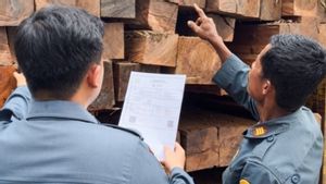 Gakkum Kemenhut Tangkap Pemilik Ratusan Batang Kayu Ilegal dari Morowali Utara