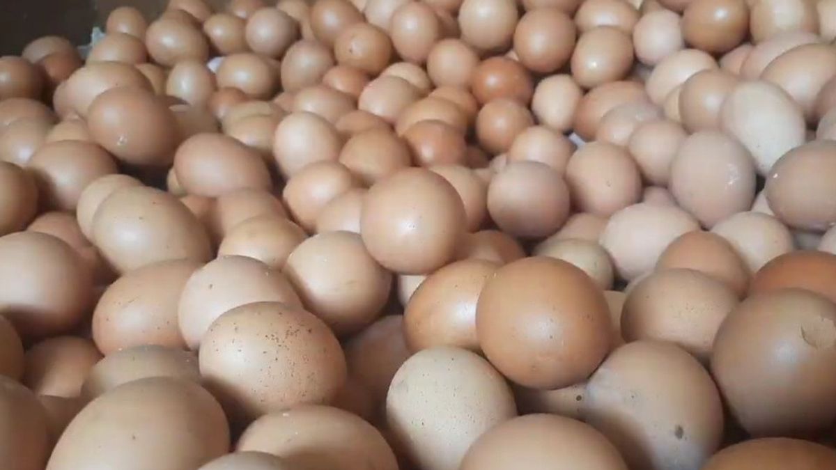 通常,斋月前,鸡蛋价格飙升,卖家和买家同样抱怨