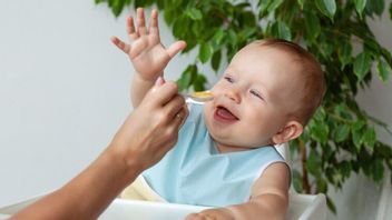 補完食品用の加工ガブス魚6:子供の花を成長させるための栄養素が豊富