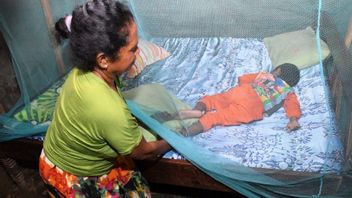 Stok Obat Menipis, Pemprov Papua Maksimalkan Penggunaan Kelambu untuk Pencegahan Malaria