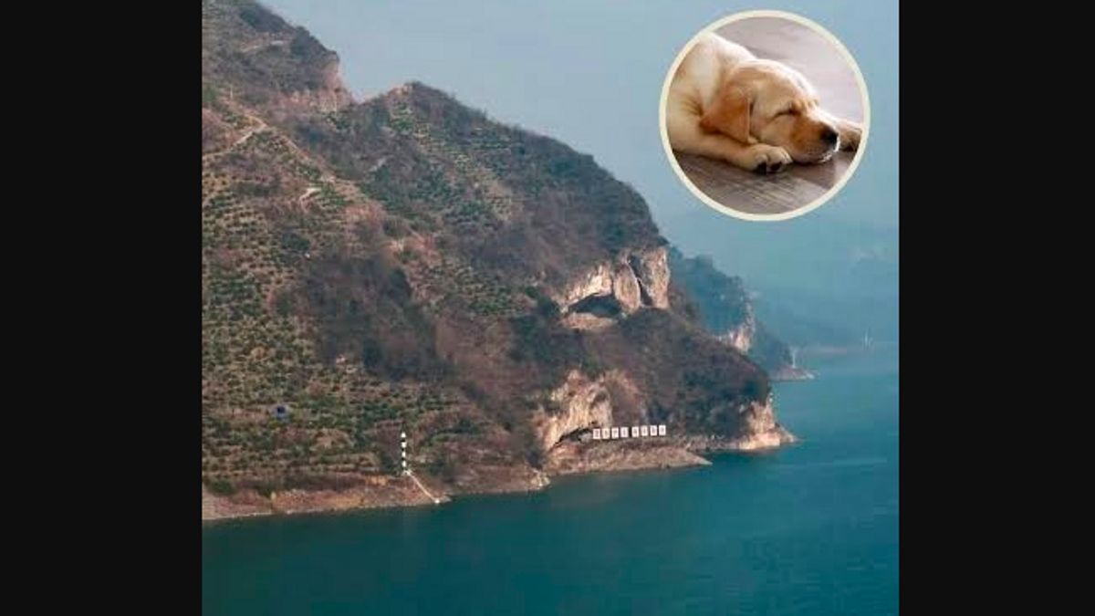 This Viral Mountain In China Is Called Similar To A Dog