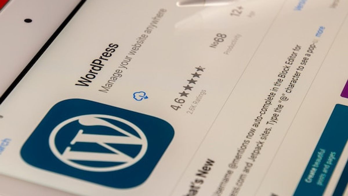 WordPress Now Offers Extending Domain Up To 100 Years