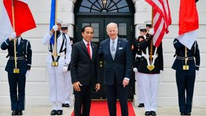 Jokowi Diolok Tak Pintar Bahasa Inggris, Denny Siregar Berang