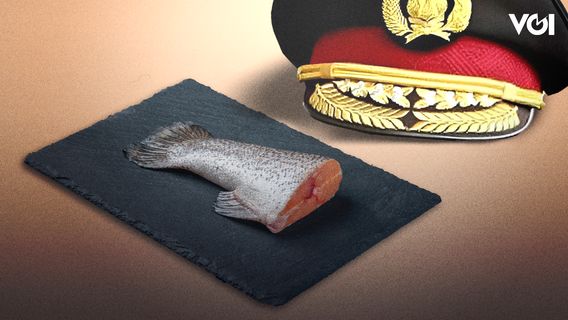 rénité et enseignements d'autres pays