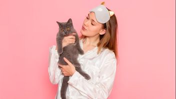 Tips To Prevent Stress In Pets While Left At Home