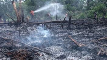 Kekeringan Picu Kebakaran Lahan 39 Ribu Hektare di Balikpapan