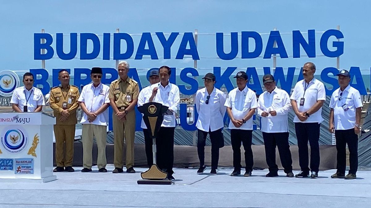 Jokowi和Ganjar Pranowo在Kebumen开设现代虾塘
