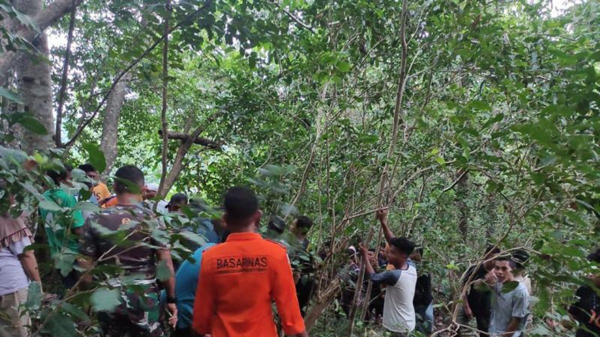 Ternate Takome Residents Attacked By Crocodiles While Fishing In Lake, Basarnas And Residents Conduct Search Efforts