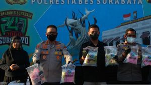 Polisi Gagalkan Peredaran 13 Kg Sabu di Surabaya