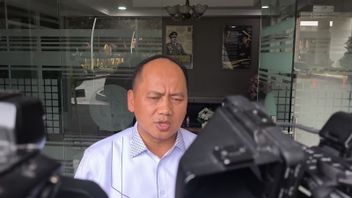 Le ministère public enquête sur les allégations d'activités minières dans la zone protégée forestière de Konawe Utara