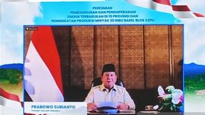Prabowo Resmikan Operasional dan Pembangunan PLTP-PLTS di 15 Provinsi