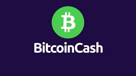 Bitcoin Cash (BCH) Terbang 13% dalam Sehari, Udah TP?