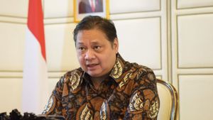 Jokowi Forms OECD National Team, Airlangga Has A New Task