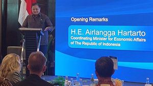 Begini Kata Menko Airlanga soal Rupiah Loyo ke Level Rp17.298