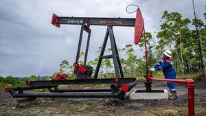 Pertamina EP dan BUMD Petro Muba Siap Garap 490 Sumur