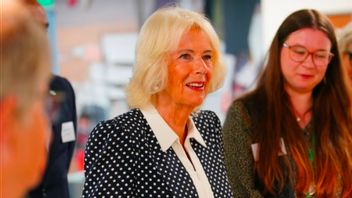 卡米拉女王的波尔卡多特服装风格,性骚扰故事后的力量象征