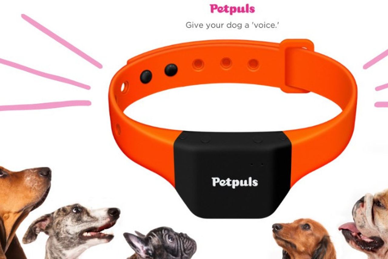 Petpuls Smart Necklace For Dog Barking Translator