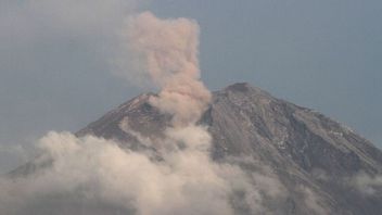 PVMBG Rekam Peristiwa Penggembungan Gunung Semeru