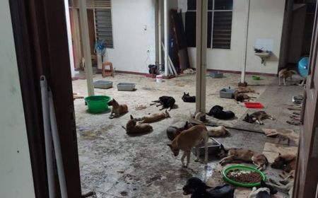 Alami Kendala Edukasi Konsumsi Daging Anjing, Pemkot Surakarta: Dari Jabar Masih Masuk