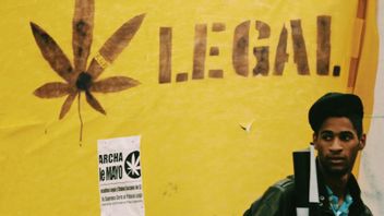 How Cannabis Saves The Economies Of African Communities Amid COVID-19
