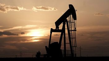 哈萨克斯坦危机影响世界油价