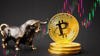 Bernstein Research: Selamat Datang di Bull Run Kripto!