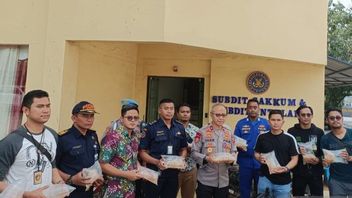 Polisi Gagalkan Penyeludupan 350 Ribu Ekor Benih Lobster Senilai Rp 87,5 Miliar di Tangerang