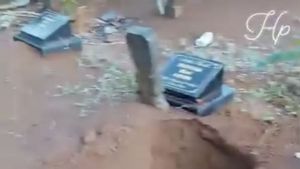 Kawanan Gajah Liar di Lampung Barat Rusak Pemakaman Warga