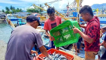 KKP Targetkan 100 Kampung Nelayan Merah Putih Selesai Empat Bulan ke Depan
