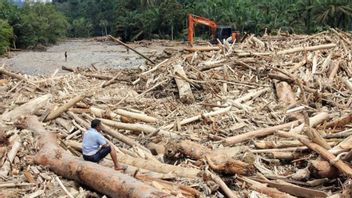 FWK Desak Pemerintah Usut Jejak Kejahatan Lingkungan di Balik Bencana Sumatera
