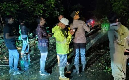 Satu Keluarga di Tapanuli Utara Tertimbun Longsor di Dalam Mobil, 3 Orang Tewas