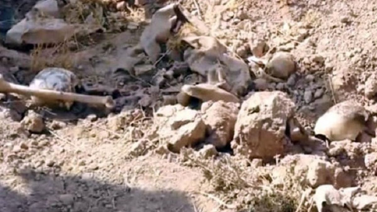 Kuburan Masal di Komplek RS Al-Shifa Palestina Dibuat untuk Pemakaman Korban Serangan Israel