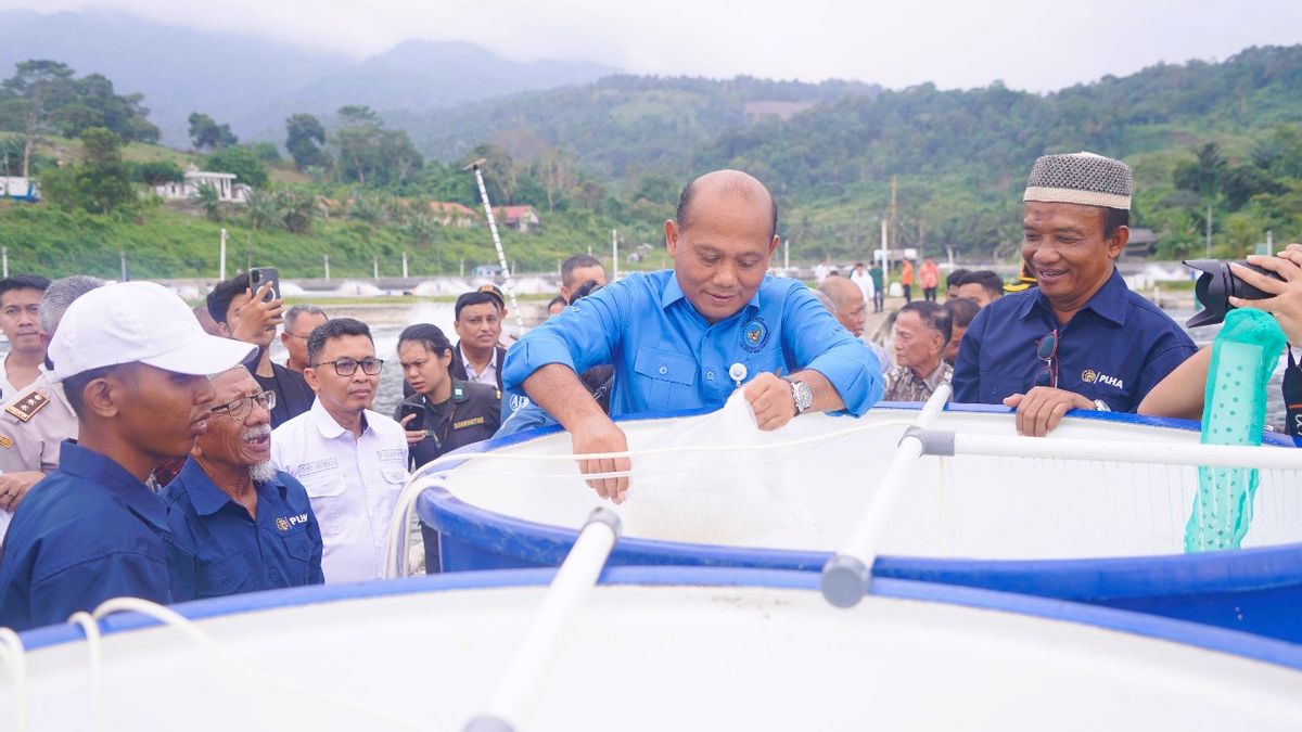 KKP Calls Shrimp Hatchery Can Increase Productivity To Manpower Absorption
