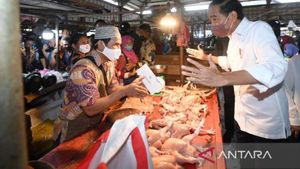 Jokowi Blusukan di Pasar Bersama Istri, Bagikan BLT Minyak Goreng dan BMK 