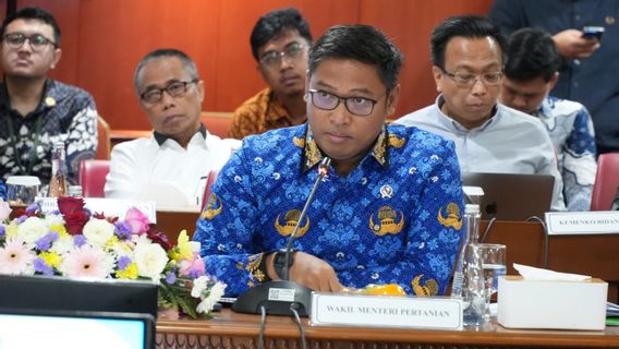 Produksi Padi Tahun Depan Diprediksi Naik, Wamentan Sudaryono Minta Bulog Serap Gabah Petani