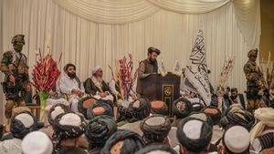 Pemimpin Taliban Haqqani Puji Pelaku Bom Bunuh Diri Afghanistan, Keluarganya Dikasih Hadiah Rp1,7 Juta