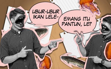 Rima Ubur-ubur Ikan Lele, Fenomena di Dunia Maya